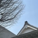 블루음악홀 - 군산시 부곡3길 11 | 블루음악홀