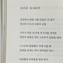 빛날연