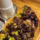 둘리곱창 | 회룡역 둘리곱창 후기｜야채곱창·순대곱창에 치즈사리, 볶음밥까지 정석 코스