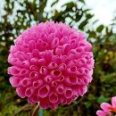 CHIARA끼아라 이미지