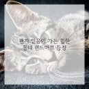 홍제제일약국 네이버블로그