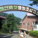 열두개울버섯마을 이미지