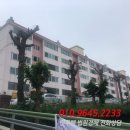 행하길 8 이미지