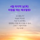 에코힐링