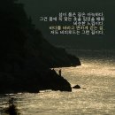 12월 10일(월) 테마여행/남해의 비경을 품은 창원 저도(용두산)비치로드 트래킹+마산 어시장.♡25,000원.조중식(찰밥)제공. 37석 리무진운행. 초보환영 이미지