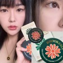 여름 필수 아이템 매트 쿠션 추천! 브루케시아 스킨 인핸서 컴팩트 쿠션