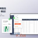 팀민트