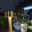 디스코포차 이미지