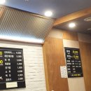 동천대패 이미지