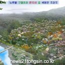 숲속반디 이미지