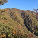 완연한 가을 산길 (천마산-철마산-주금산) 이미지