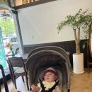 샤르베티에 이미지