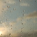 양재근린공원 이미지