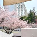 해운대로 349번길 10 이미지