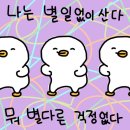킹스타치킨