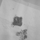 문정탑 동물병원 이미지