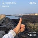 청룡마을4길 11-1 | 제주 11일차 일정 | 제주 동화마을 방문| 빈티지 문구사, 이후북스에서 쇼핑 | 몽생이샌드 후기