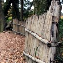 순천-46호 이미지