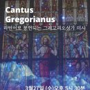 [Cantus Gregorianus] 3월 라틴어로 봉헌되는 그레고리오성가 미사 이미지