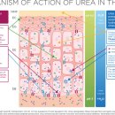 미소로한의원 이미지