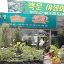 백운조경 이미지