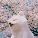 도로명미지정 네이버블로그