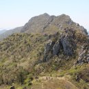 땅끝 남도의 향기 이미지