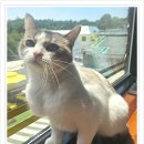 아이조아 요양보호소 서울점 이미지