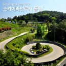 스카이라인루지통영 주식회사 | 통영 루지 할인 체험 코스 스카이라인루지 놀거리 통영 아이들과 가볼만한곳
