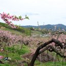 사곡 2리 이미지