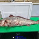 203수산 이미지