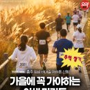 앙성마트 | 충주요약 | 2026 충주 앙성 비내길 마라톤대회 코스 참가비 충주시민할인 신청 총정리