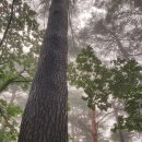 안전목장 이미지