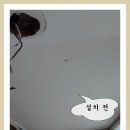 푸른철물