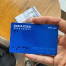 백화점약국 애완용품점 네이버블로그