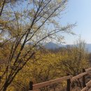 충주요트장 이미지