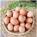 중한농장 이미지