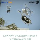 펫배달 이미지
