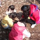 금병초병설유치원 이미지