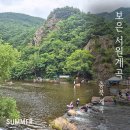 늘비물고기휴양마을 | 보은 서원계곡 주말 오전 방문 후기 주차 화장실 정보 정리