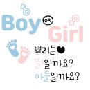대구 젠더리빌 풍선 추천 모나벌룬 내돈내산 당일 픽업 후기