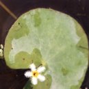 삼방농장 이미지