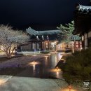 [강원도 정선] 하이원 운암정 한옥 베이커리 애프터눈 티 달보드레 꽃 후기