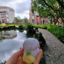 라라까까 | (하나투어 패키지) 대만 2박3일 여행 후기 (2)