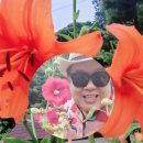 영상화원 이미지
