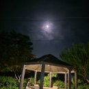 나무이야기 펜션 리솜포레스트 이미지