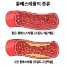 지질 검사 항목별 정상 수치(혈액 검사) 이미지