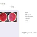 시집 이미지