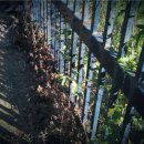 무이예술관 이미지