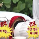 블리스(Bliss) 이미지